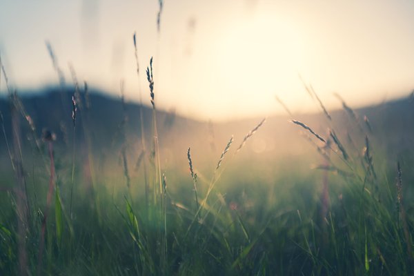 gettyimages-1322277517