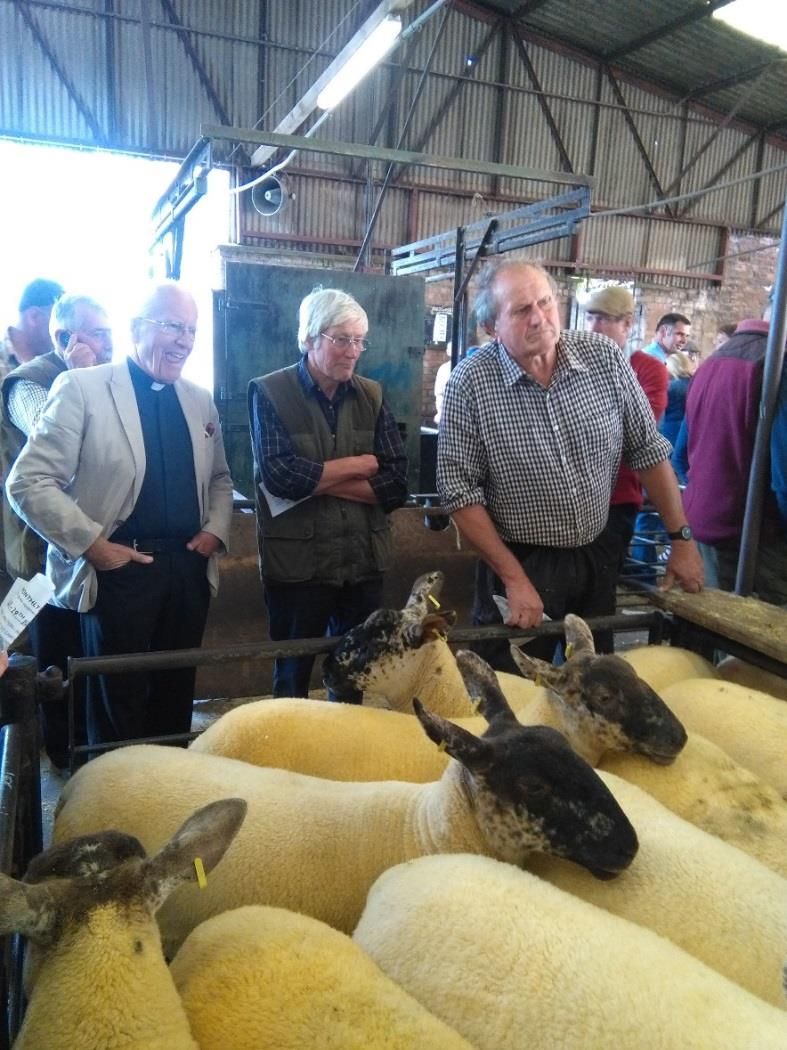 auction-market-2